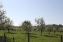 Torcenay : D26 vers N19